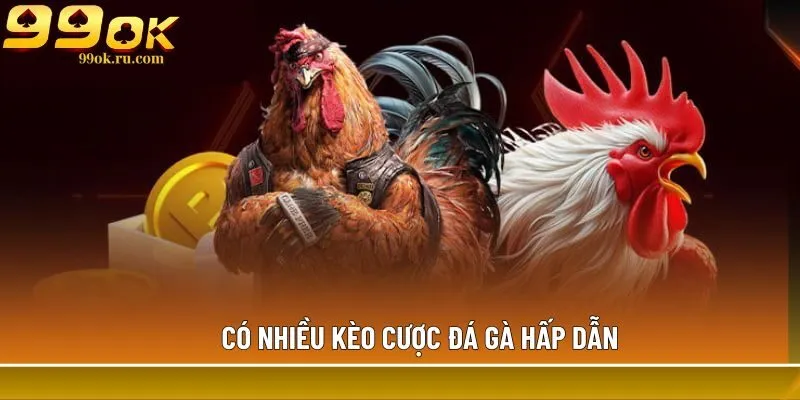 Có nhiều kèo cược đá gà hấp dẫn